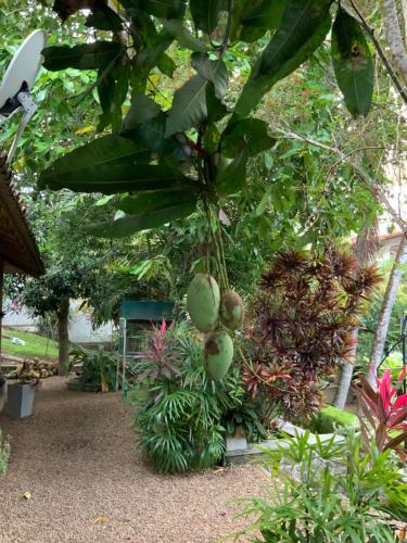 Lali Villa & Fruit Garden