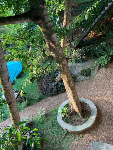 Lali Villa & Fruit Garden