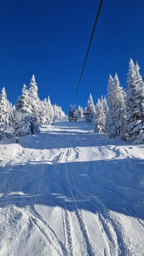 Surrounding environment, Apartman Rokytnice, Rokytno 20 in Rokytno