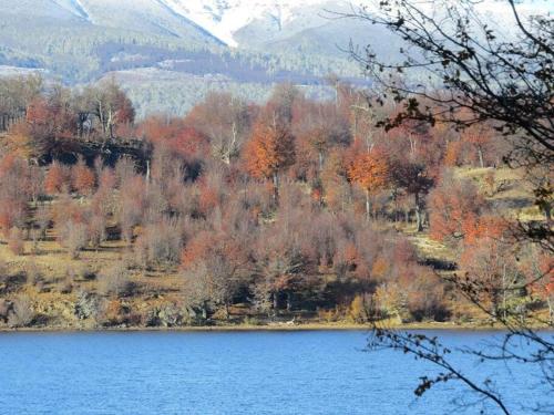 Refugio del Pollux- Coyhaique- Orillas Lago Pollux