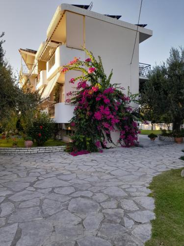 Eleonas Apartments in Rodavgi