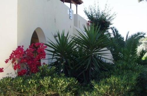 Lianos Hotel Apartments - image 12