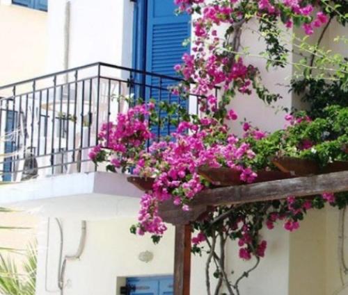Lianos Hotel Apartments - image 7