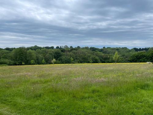 Apkārtne, Meadow View in Five Ashes