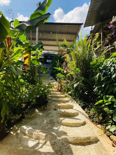 Casita Tangara con balcon y agua caliente in Drake Bay