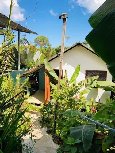. Casita Tangara