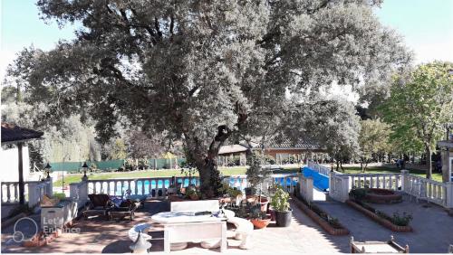 Vườn, Lovely home, cozy corner in el Bosque, Madrid. in Villaviciosa de Odon