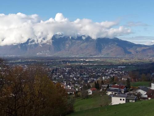 Wohnung Rheintal im Alpenvorland