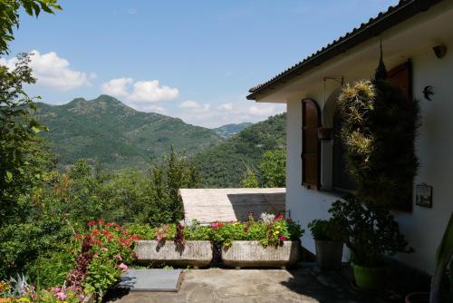 Viesnīcas āriene, Villa Rondini in Avegno