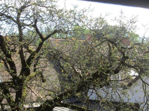 Entire apartment in the center with free parking, Lublaň (fotografie 4)