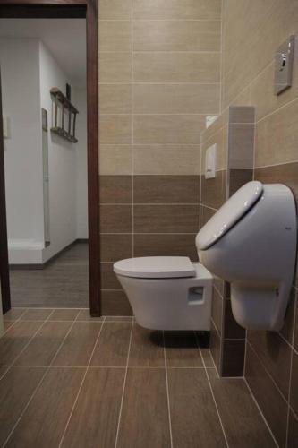 Entire apartment in the center with free parking, Lublaň (fotografie 5)