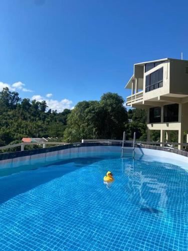 Haven Hill Place (New!!!) in Caguas