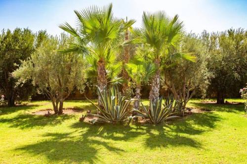 Magnifique Villa Namaste louée avec le personnel de maison