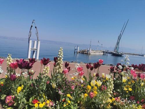 Appartement vue sur le golf et le Lac Leman