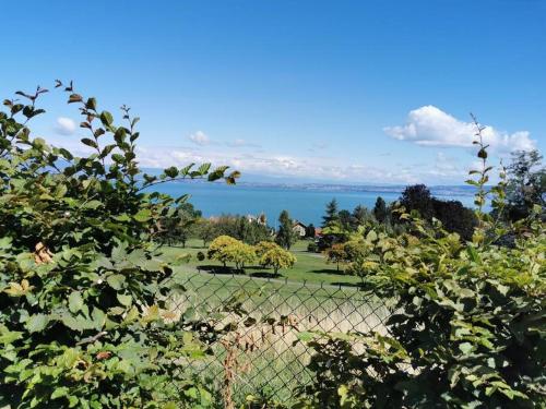 Appartement vue sur le golf et le Lac Leman