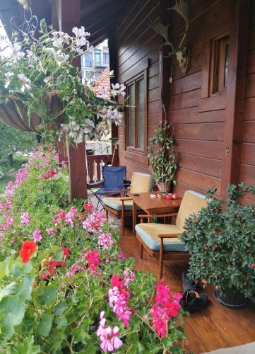 Dana apartmani - image 7