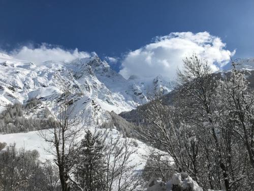 HOTEL DES ALPES - SKIERS LODGE