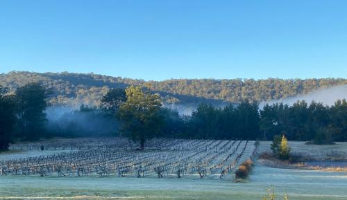 Wollombi Wines