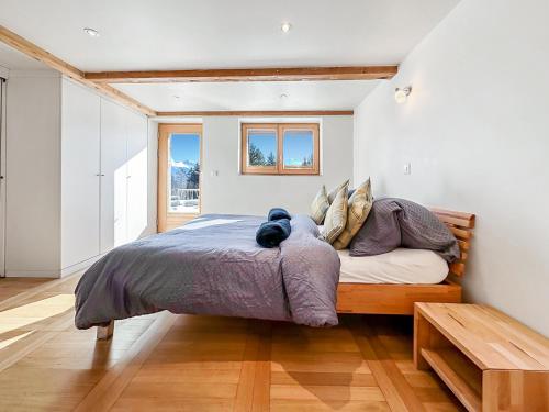 My cosy flat in the mountains, Anzere (fotografie 8)