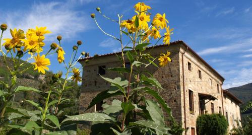  Al Palazzaccio, Calci bei Massa Macinaia