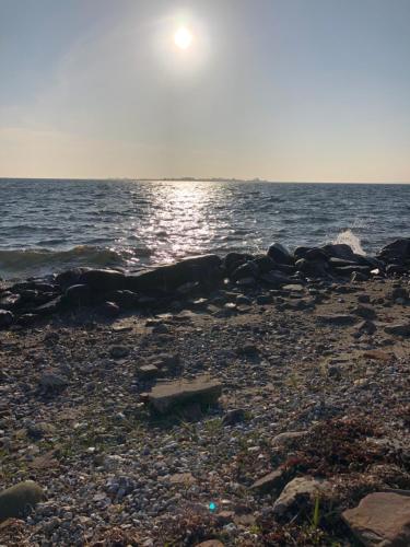 2 værelses lejlighed tæt på Svendborg og tæt på naturen på Tåsinge 2 værelses lejlighed tæt på Svendborg og tæt på naturen på Tåsinge