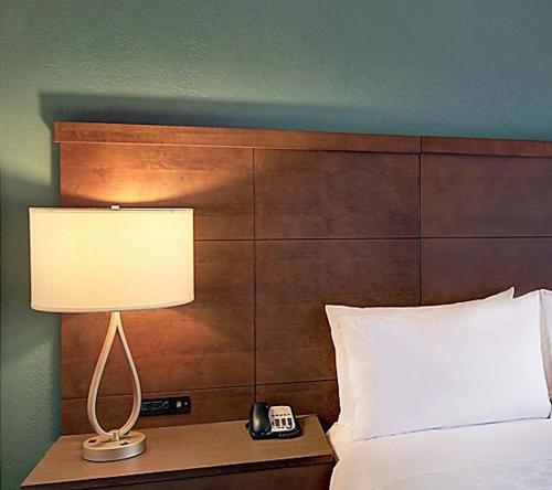 Queen Studio Suite with Sofa Bed