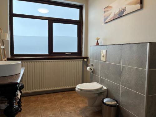 Farmhotel Efstidalur - image 7