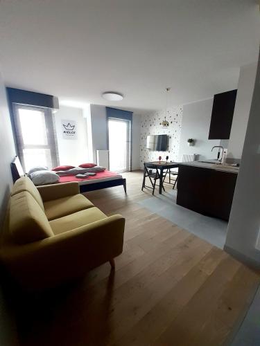 Apartament KORONA KIELCE Nowość ! centrum free parking, ściegiennego - Apartment - Kielce