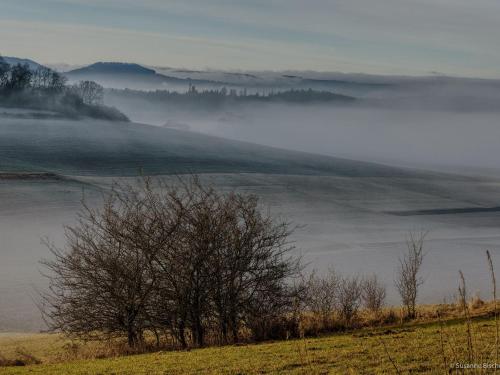 63qm im Eschachtal in Niedereschach