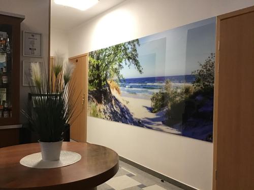 Hotel Cis - image 11