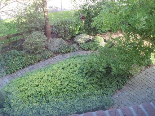 Wohnung nahe Jacobs Uni und Knoops Park, Bremen (photo 6)
