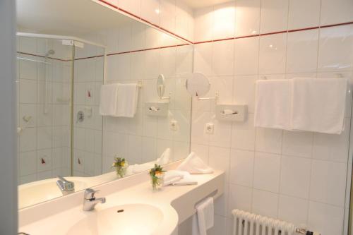 Hotel Gasthaus Adler Room Type - Comfort Double Room