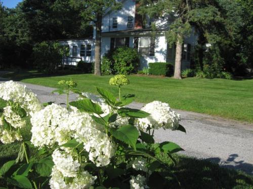 Historic White Blossom House