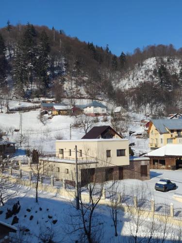 المنطقة المحيطة, Cavnic Hills Apartments in Cavnic