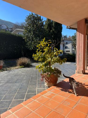  La casetta di Artena Studio in Artena