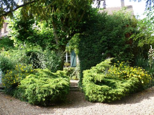 Garden, A l'Ombre du Tilleul in Giverny