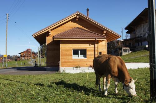 Gästehaus myHideaway - image 9