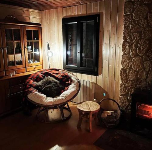 Chalet midden in een bos