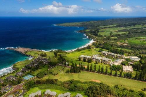 . The Ritz-Carlton Maui, Kapalua