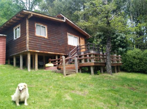 Cabañas Pucon para 5 con piscina