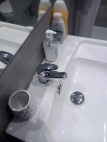 Appartement cosy au cœur de la ville d'Auch - 화장실