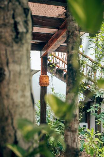 Orchid House Tulum Jungle Room Type - Suite with Terrace