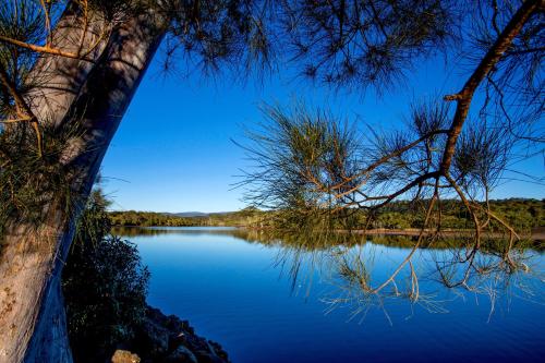 Reflections Ferry Reserve - Holiday Park