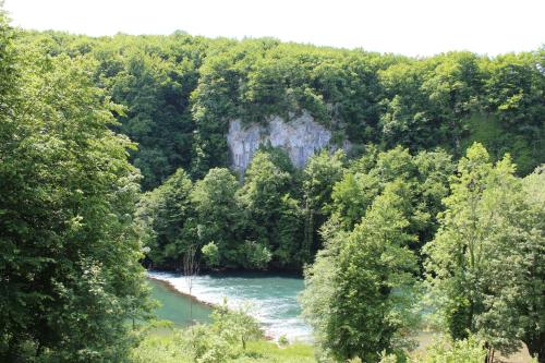 景觀, Holiday house with a parking space Jakovci Netreticki, Karlovac - 20279 in 納比