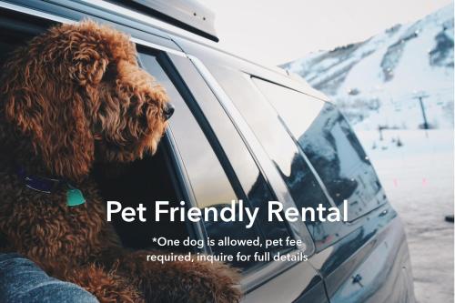 Pet Friendly Flexible 96 Hour Cancellation Stylish Interior Free Bikes Poolside - Entrada 635 - image 6