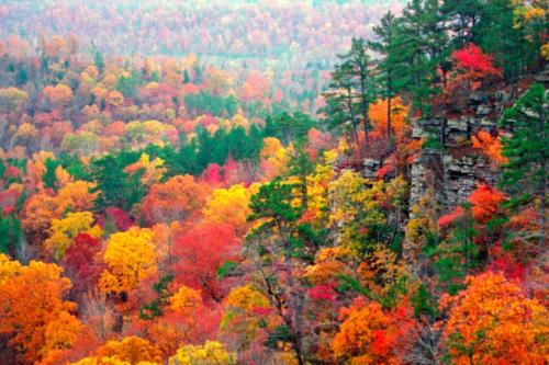 Lake Lucerne - Treehouse Cabin #01 in Eureka Springs, USA