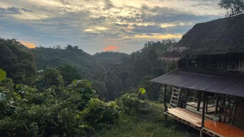 ORANG UTAN TREKING SUMATRA ONLY BOOK TREKING WITH US & lovely jungle lodge
