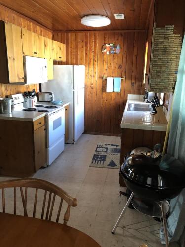 BlackBeard's Retreat - Historic and Pet Friendly cottage in Kitty Hawk (NC)