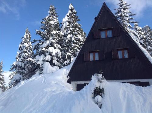 Baita Giggia sulle piste - Cavalese in Trentino Alto Adige cottage chalet - Strigno