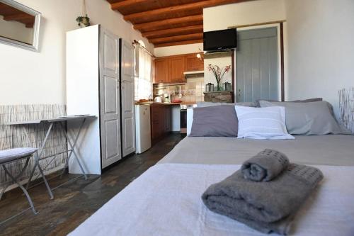 Lovely Studio Apartment For 2 Ppl In Tinos in Tinos